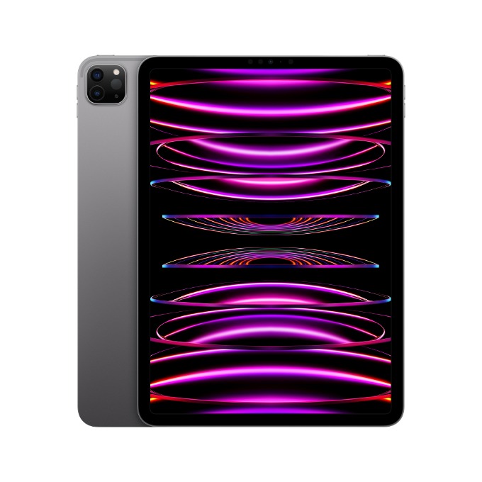 (~오늘마감)[48기]  Apple iPad Pro 11 M2 Wi-Fi+Cell 2TB 아이패드 프로 11 _스페이스그레이