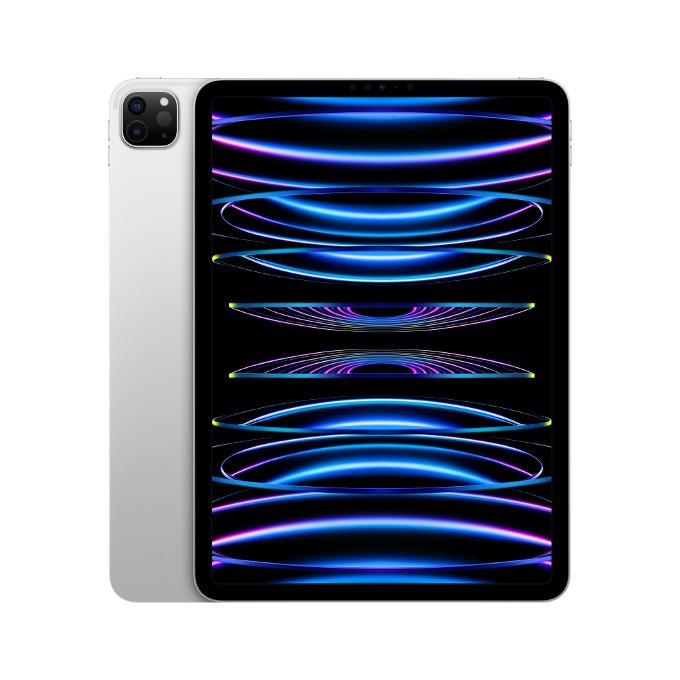 (~선착순모집)[64기] Apple 아이패드 프로 11 M2 Wi-Fi+Cell 1TB - 스페이스그레이, 실버